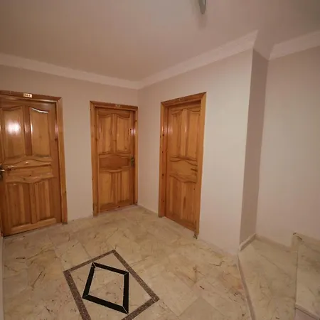 Orkide איסטמבול