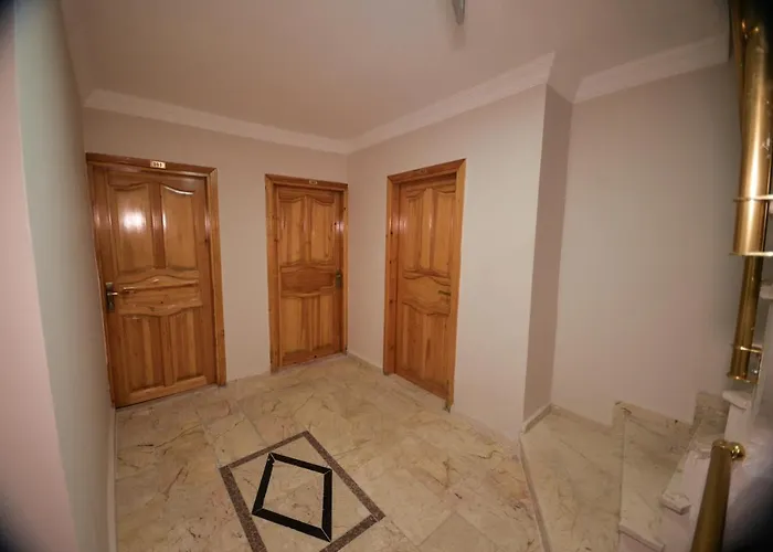 Orkide Provincia di Istanbul