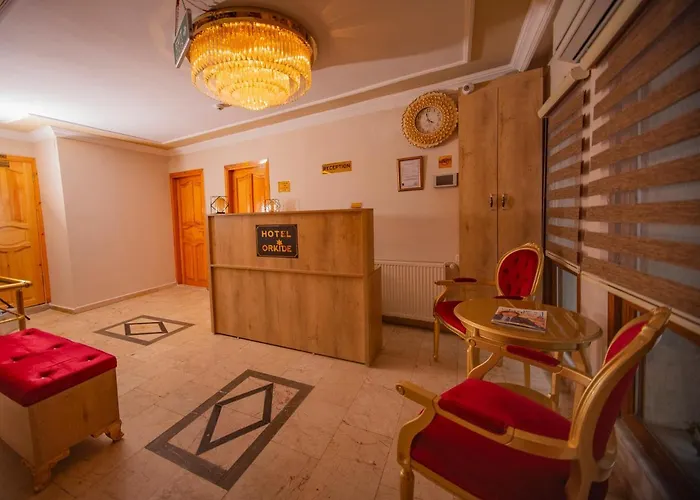 Orkide Отель *